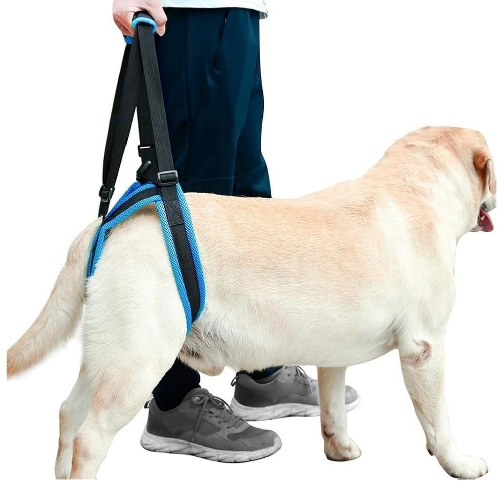 Dog harness